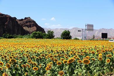 《杀手7》更新上线三折优惠 改善画面性能