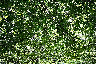 Xbox老大正面回应索尼游戏订阅服务与XGP竞争