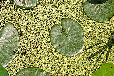 国产游戏《暗影火炬城》开发完成 已进厂压盘